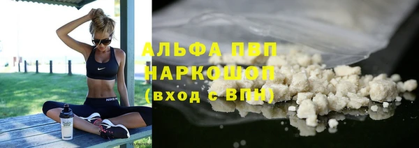 гидра Кинешма