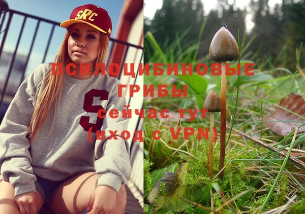 марки nbome Киреевск