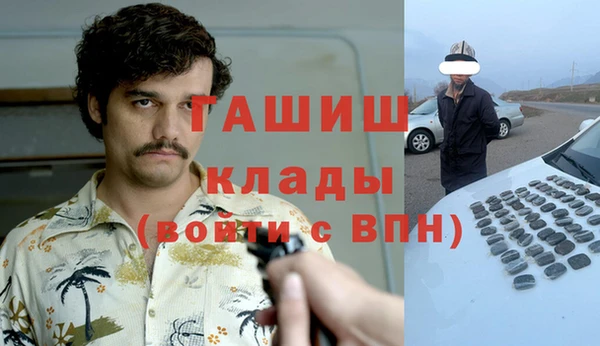 гидра Кинешма